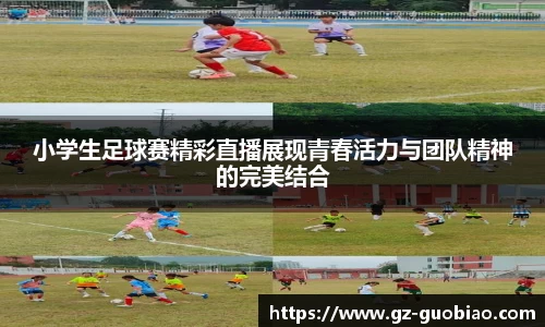 门徒娱乐在线登录