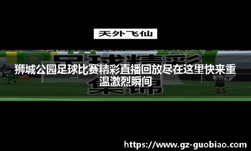 狮城公园足球比赛精彩直播回放尽在这里快来重温激烈瞬间